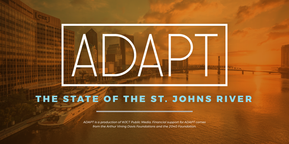 Featured image for “ADAPT: The State of the St. Johns River”