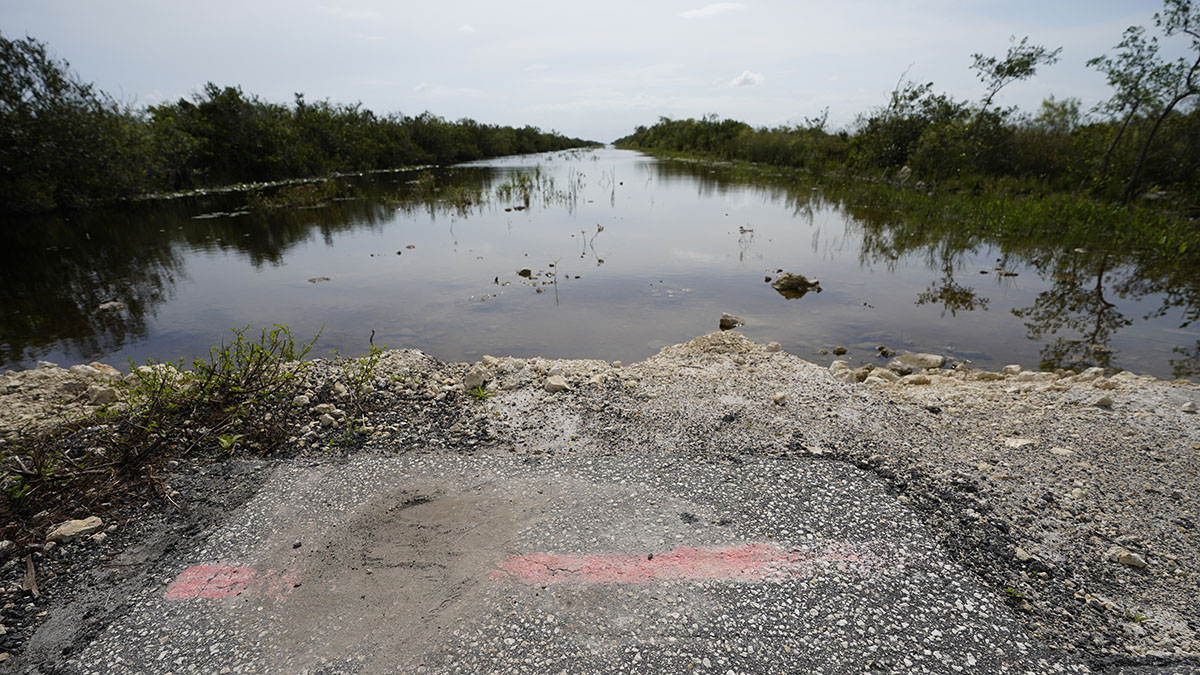 Featured image for “OPINION | Feds’ Everglades slight means more toxic water dumped on Floridians”