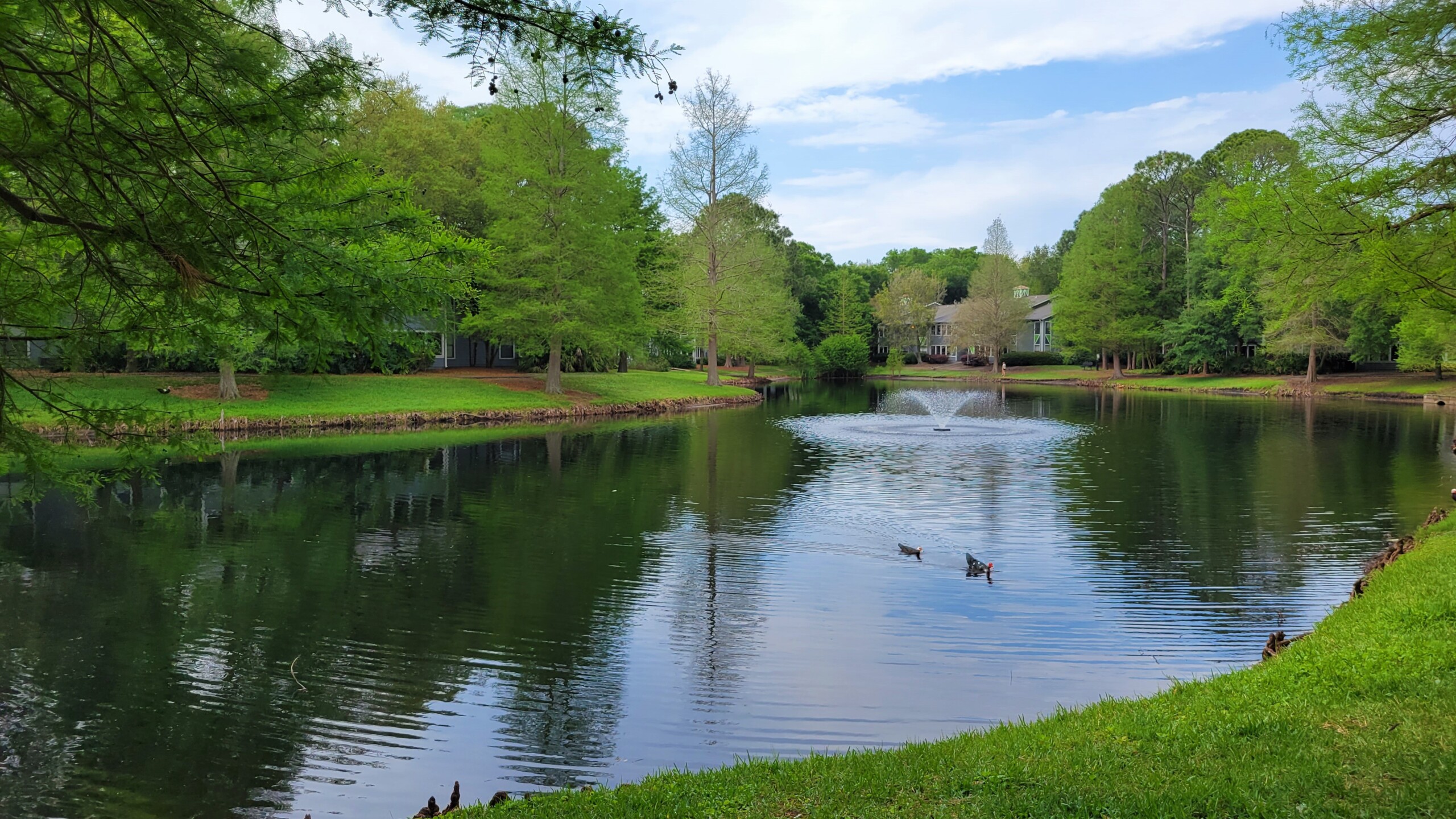 stormwater pond apartments