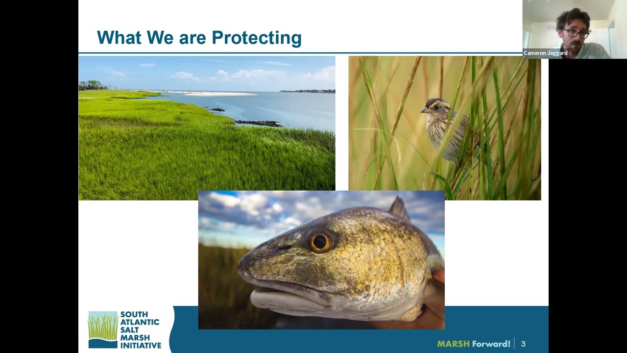Featured image for “Northeast Florida Regional Conservation Efforts”