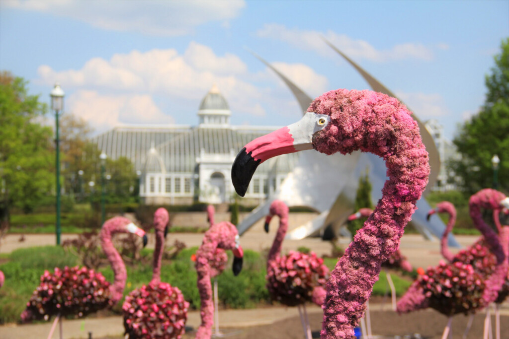 Flamingos made of flowers