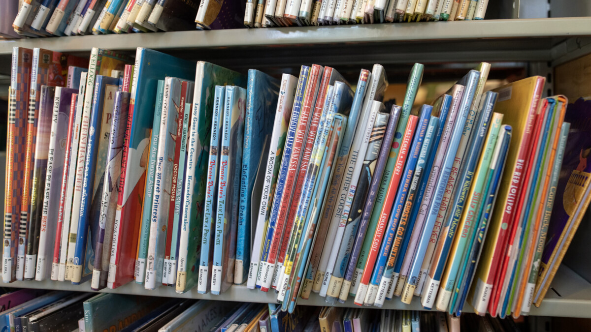 Schoolbooks on shelves