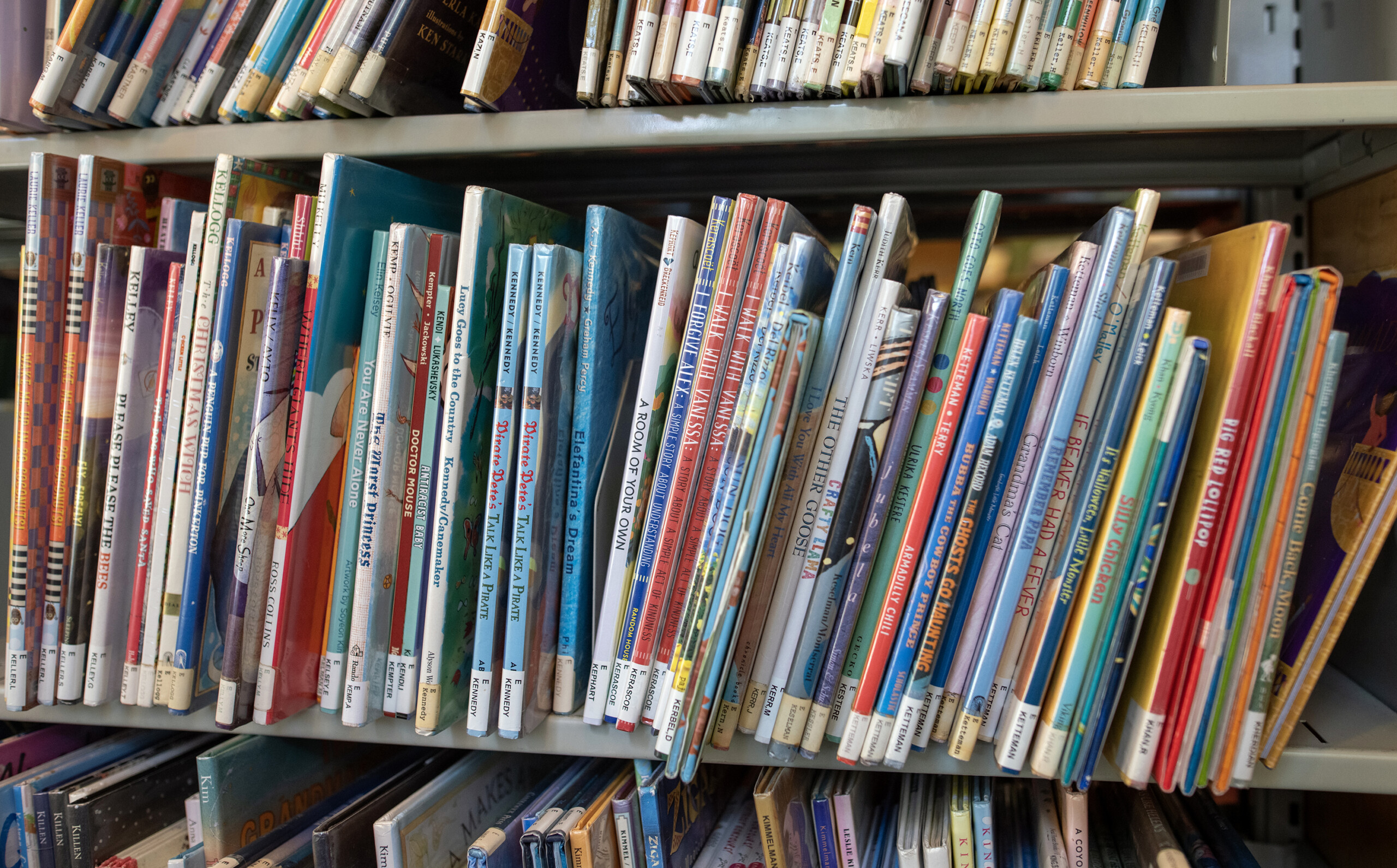 Schoolbooks on shelves