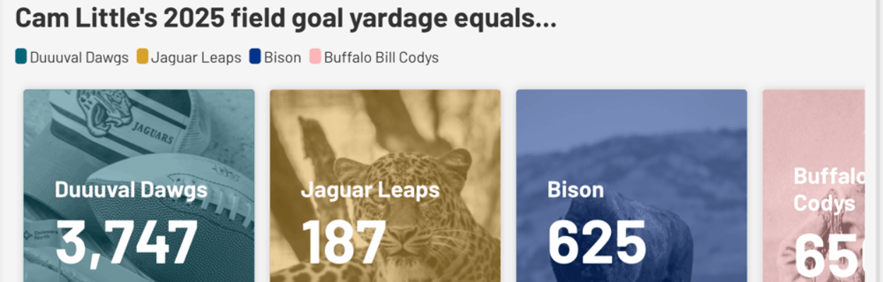 Cam Little's kicks, compared to the length of a jaguar's pounce and other things.