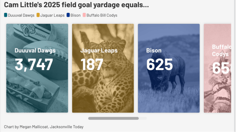 Cam Little's kicks, compared to the length of a jaguar's pounce and other things.