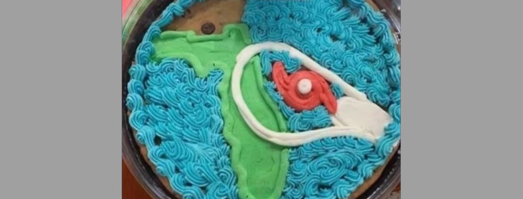 Publix has been criticized for selling cakes like this one.