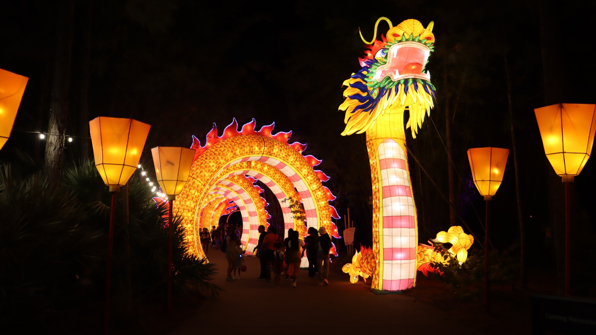 This long, curving dragon lantern is part of the Colors of the Wild display at the Jacksonville Zoo and Gardens. | Jacksonville Zoo and Gardens