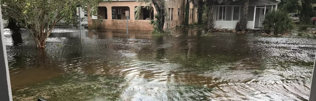 San Marco stands flooded after Hurricane Irma in 2017. | Jessica Palombo, WJCT News 89.9