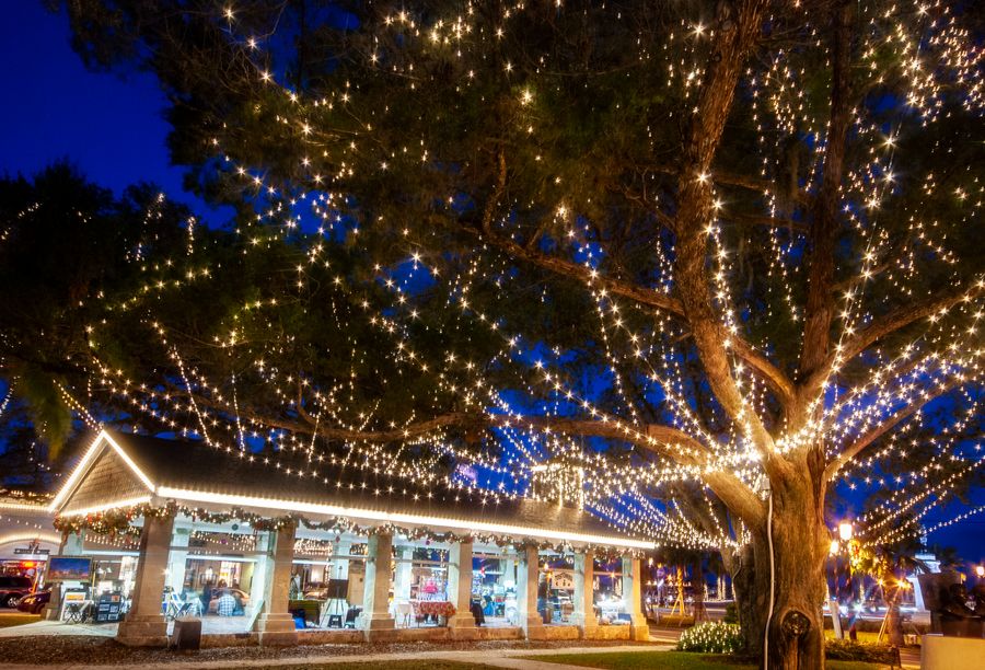 Featured image for “Nights of Lights returns with boost for local businesses”