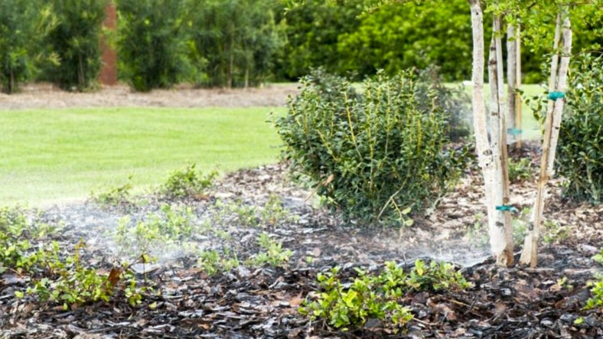 The St. Johns River Water Management District lays out rules for watering landscaping.