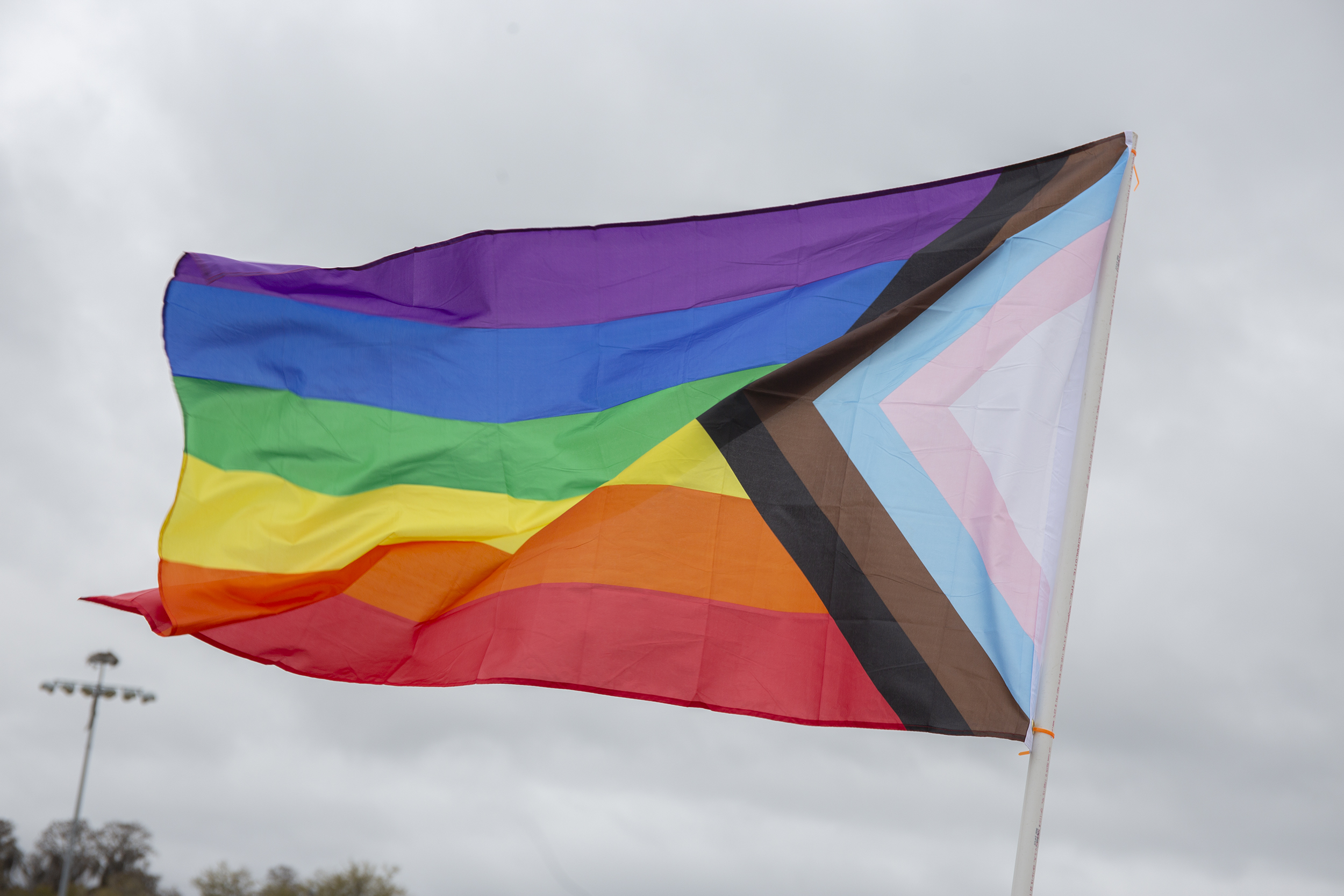 Featured image for “Proposed law could limit pride flags at public buildings”