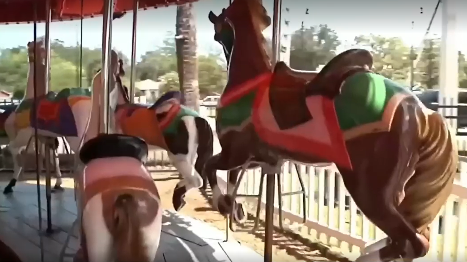 Featured image for “The St. Augustine carousel may come around again”