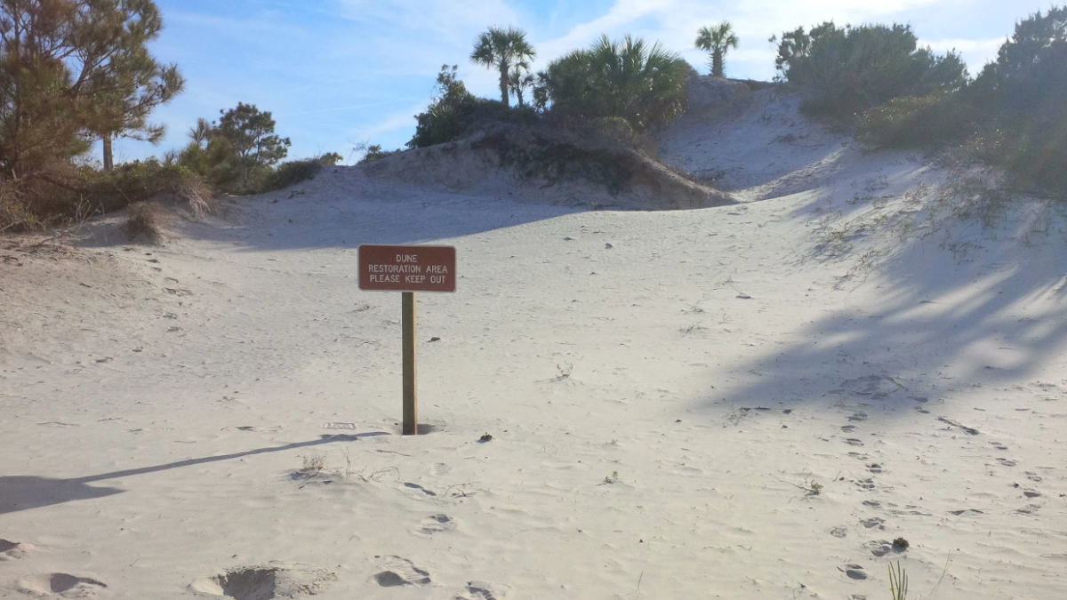A sign warns of dune restoration at Little Talbot Island in 2016. | Blake Allen, WHCT News 89.9