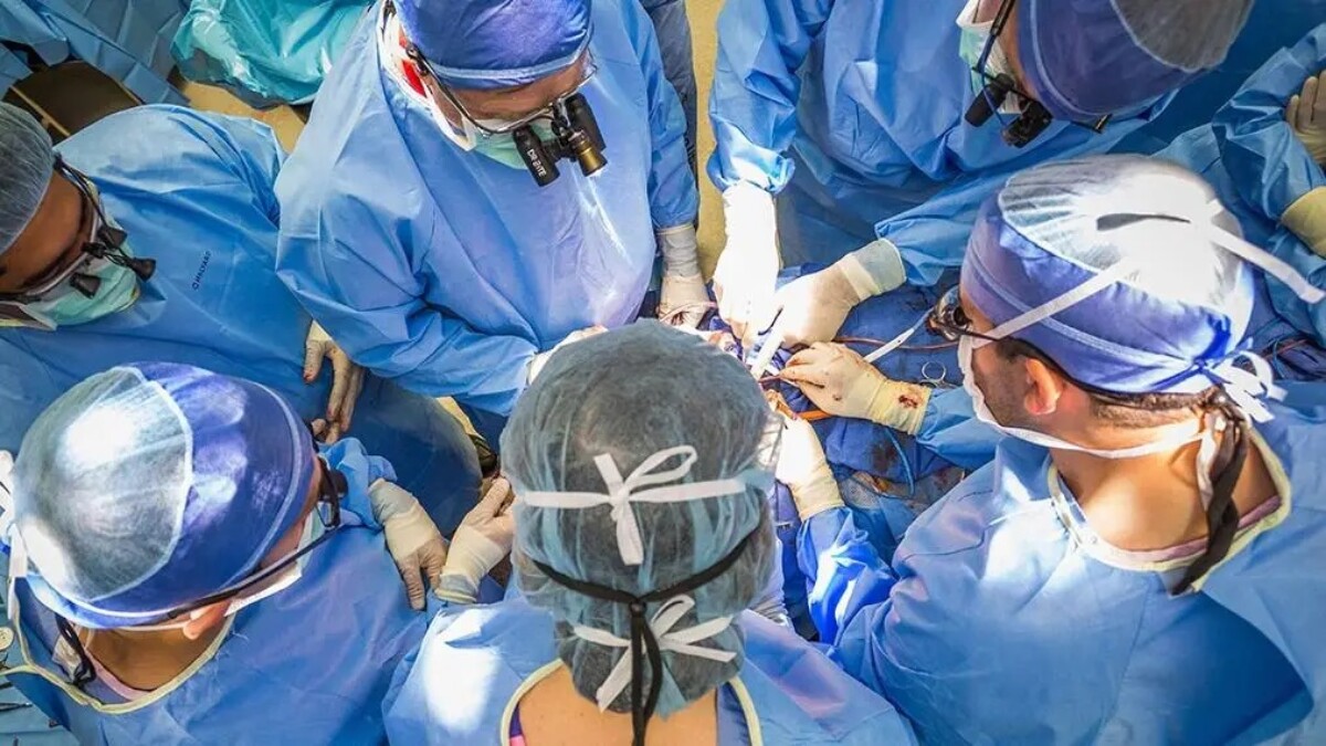 Doctors at the Mayo Clinic perform an organ transplant. l Mayo Clinic