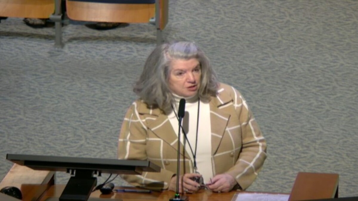 Lori Boyer, CEO of Jacksonville's Downtown Investment Authority, speaks to City Council during a special meeting about the potential city investment in the redevelopment of the Laura Street Trio. | Screenshot from city of Jacksonville website