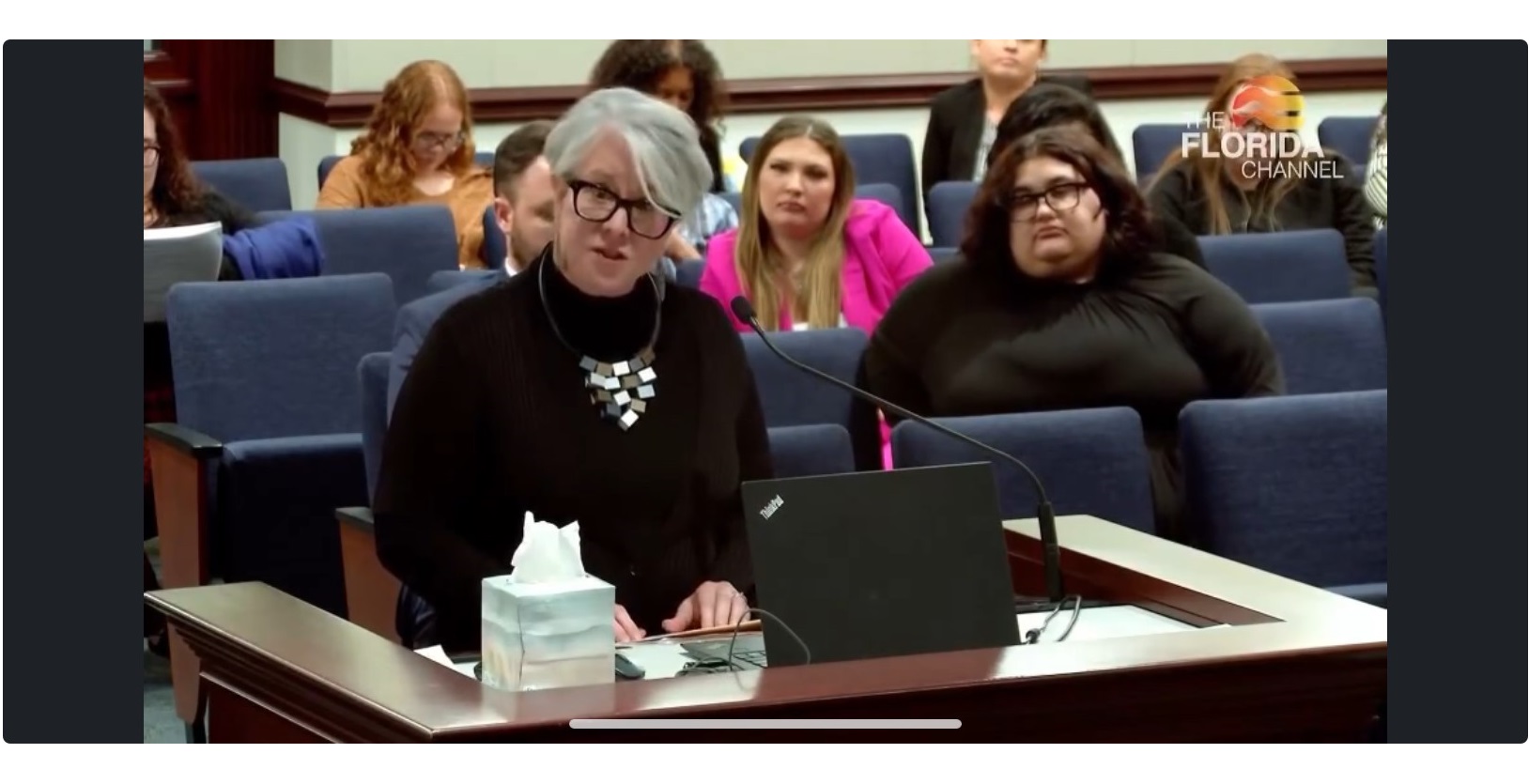 Patti Peeples tells her story to the Senate Criminal Justice Committee on Feb 6, 2024, at the Florida Capitol. | The Florida Channel