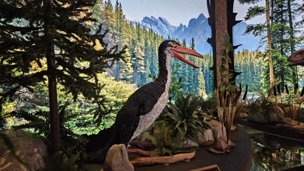 The new "Ice Dinosaurs" exhibit at MOSH introduces visitors to more than a dozen species of prehistoric creatures that were discovered in an area of northeastern Alaska | Heather Henderson, Jacksonville Today