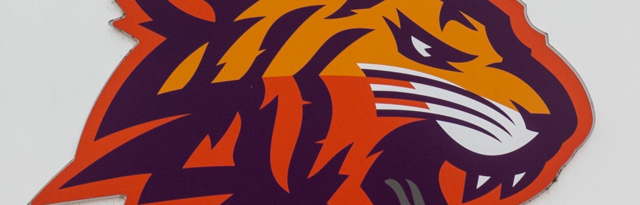 A colorful tiger head, the mascot for Edward Waters.
