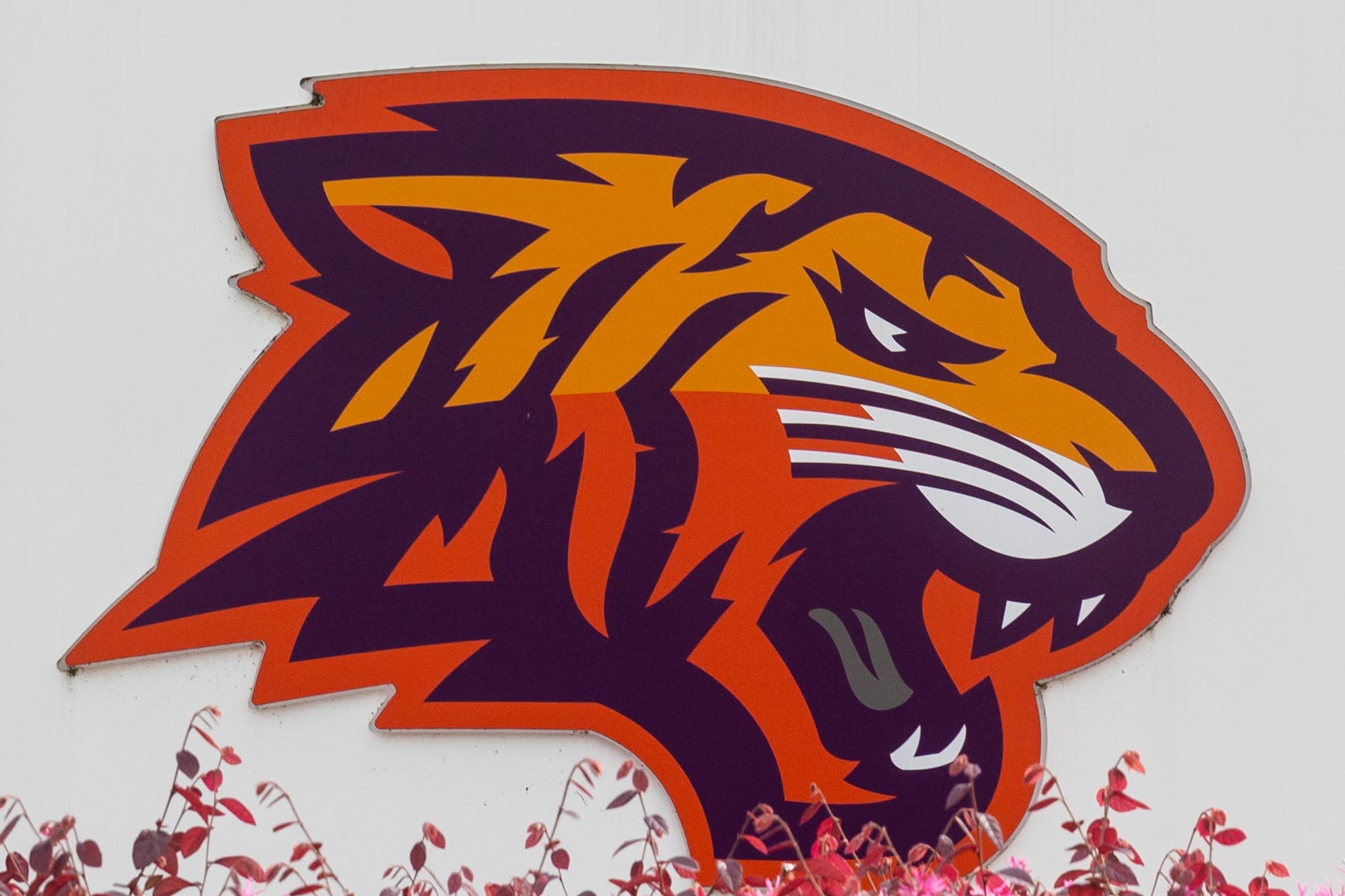 A colorful tiger head, the mascot for Edward Waters.