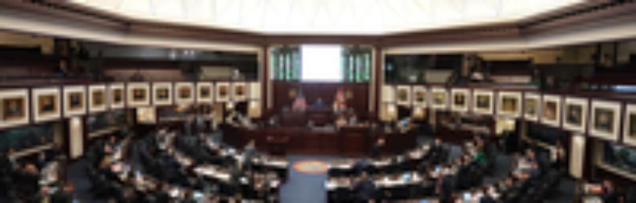 Here are 10 big issues the Legislature addressed this year