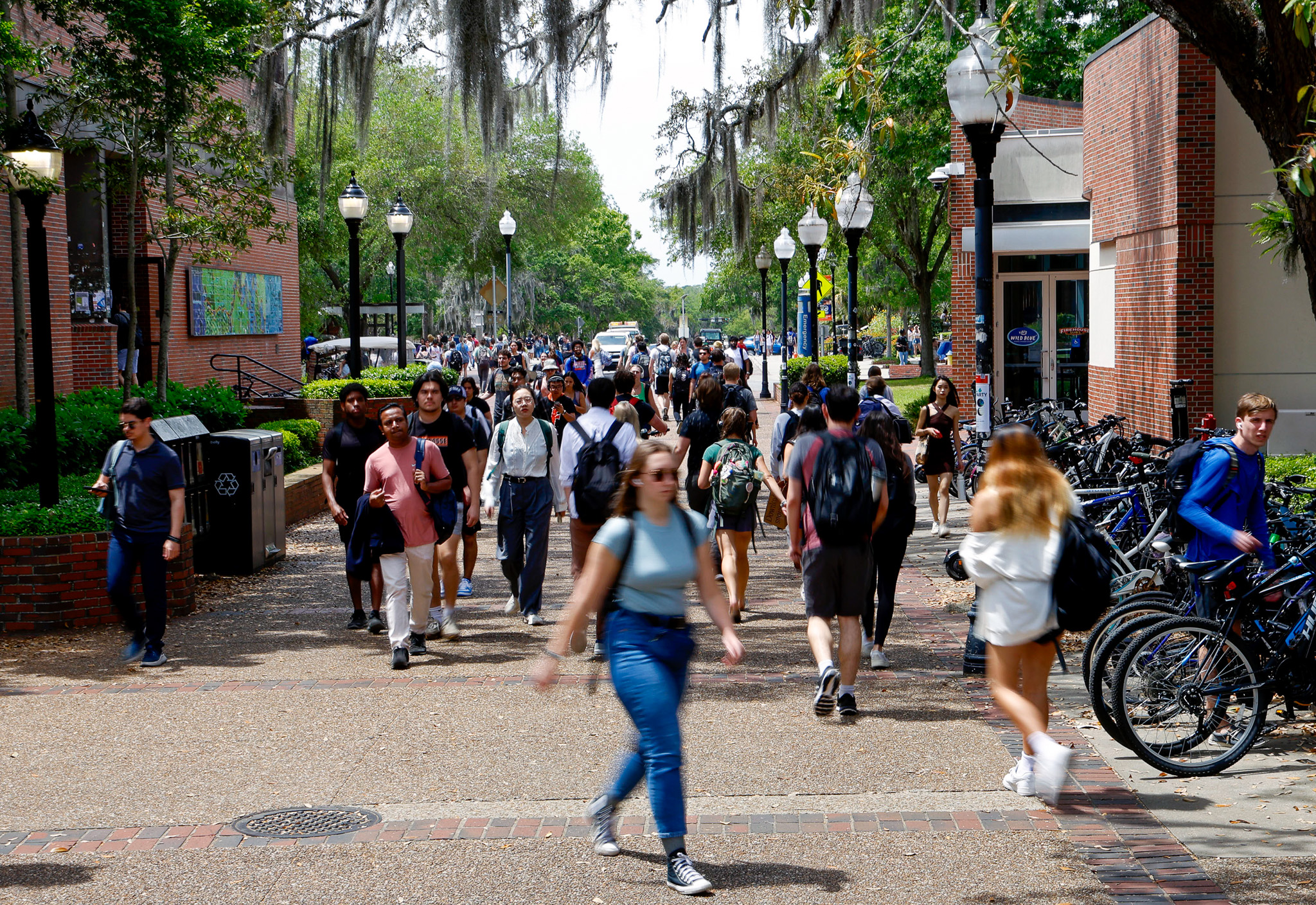 University of Florida students walk through Turlington Plaza on April 9, 2024. | Lee Ann Anderson, Fresh Take Florida