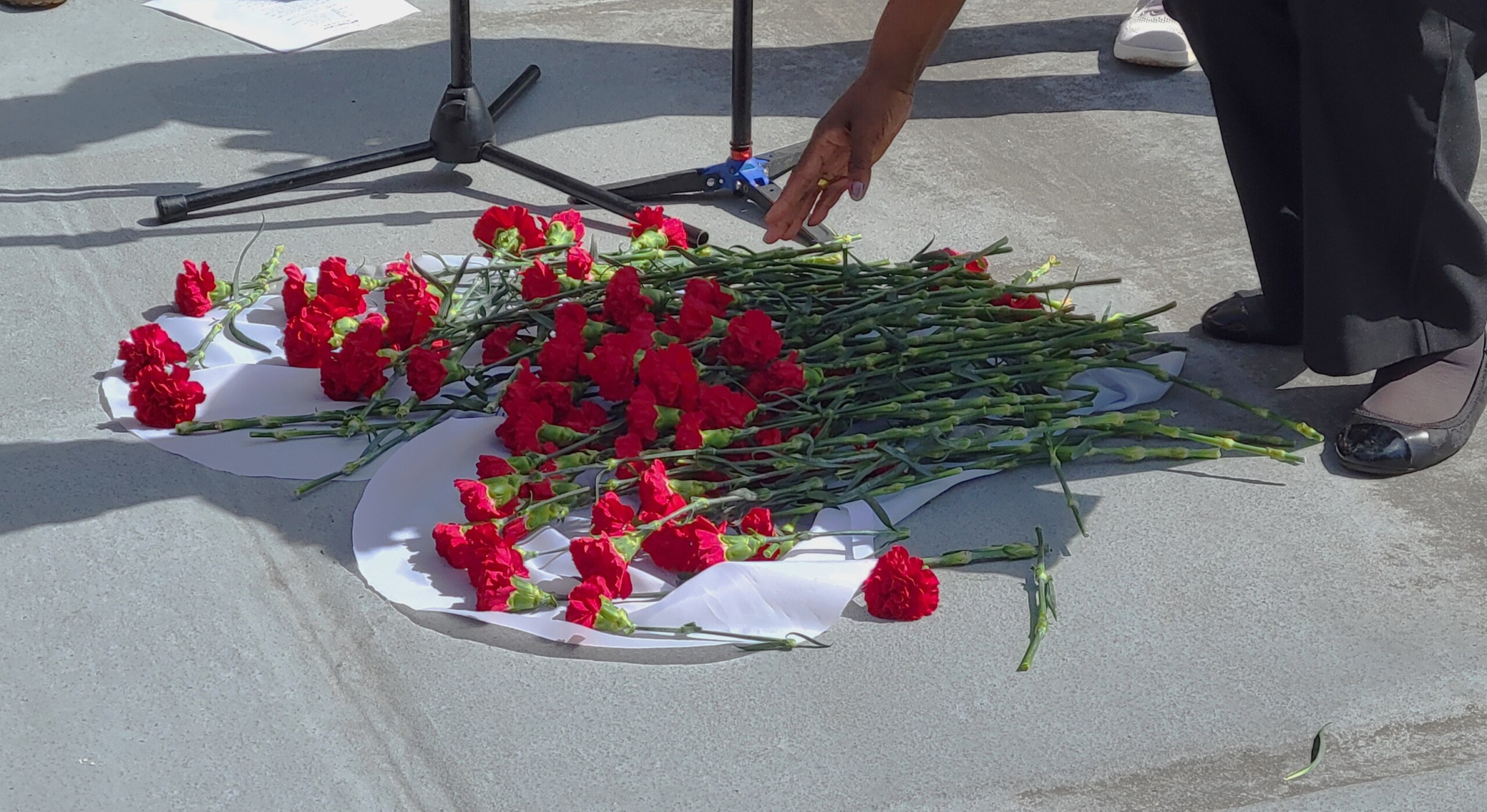 ICARE board member Geneva Pittman lays a flower atop others on the Jacksonville Sheriff's Office steps. The 124 carnations represented how many people were murdered in 2023 in Jacksonville. | Dan Scanlan, Jacksonville Today