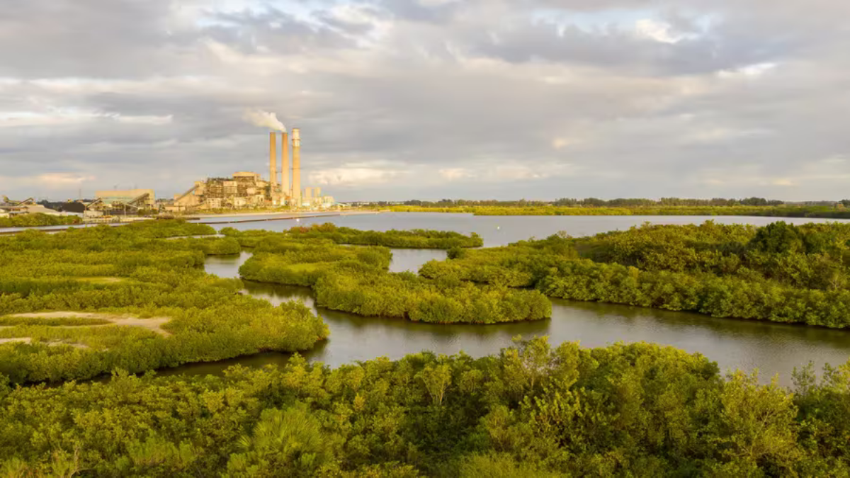 Tampa Electric's Big Bend power plant. | Luis Santana, Tampa Bay Times