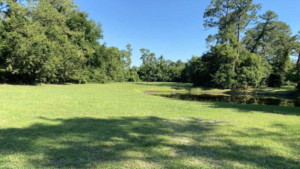Blue Cypress Golf Course is expanding, turning the 9-hole course into a 12-hole course. This is one of the patches of land that will be transformed into a par-3 over the coming months. l Steven Ponson, WJCT News 89.9.