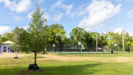 Featured image for “Jax parks improving, but work remains, report says”