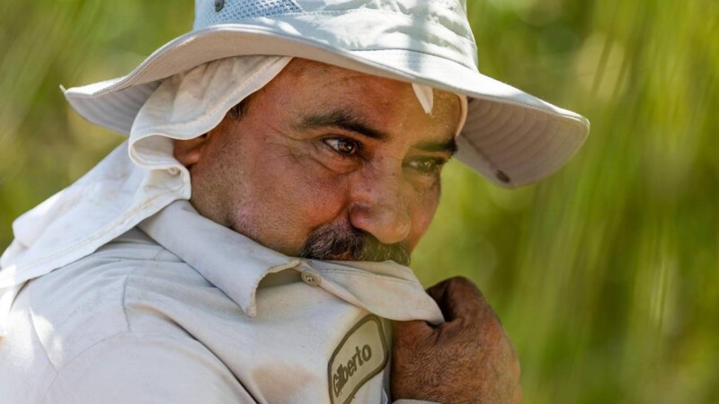 Featured image for “Heat risks increase for workers in the South, study says”