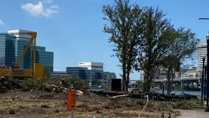 Featured image for “OPINION | It’s half past tree time at the former Jacksonville Landing”