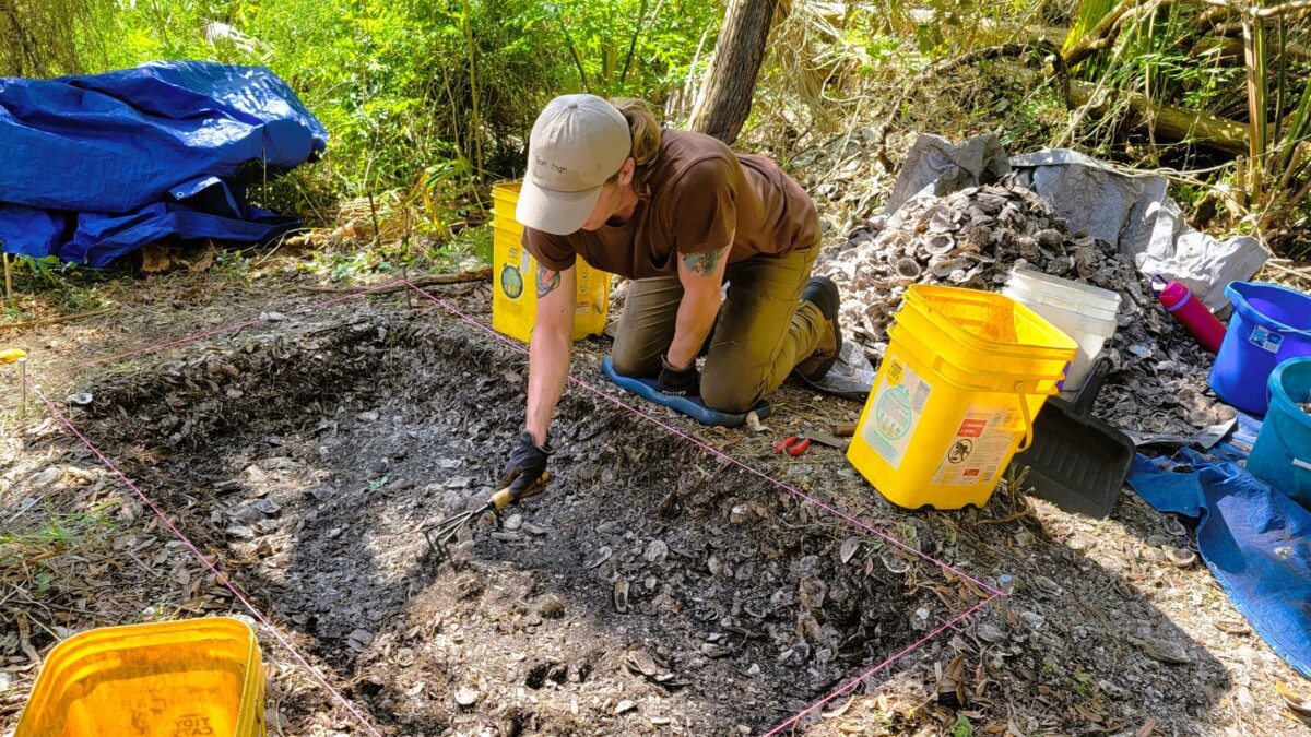 University of North Florida history student Shawn Steiner meticulously sorts through a 1,000-year-old Timucua midden mound, looking for pottery shards and other artifacts at a dig site within the Timucuan Ecological and Historic Preserve. | Dan Scanlan, Jacksonville Today