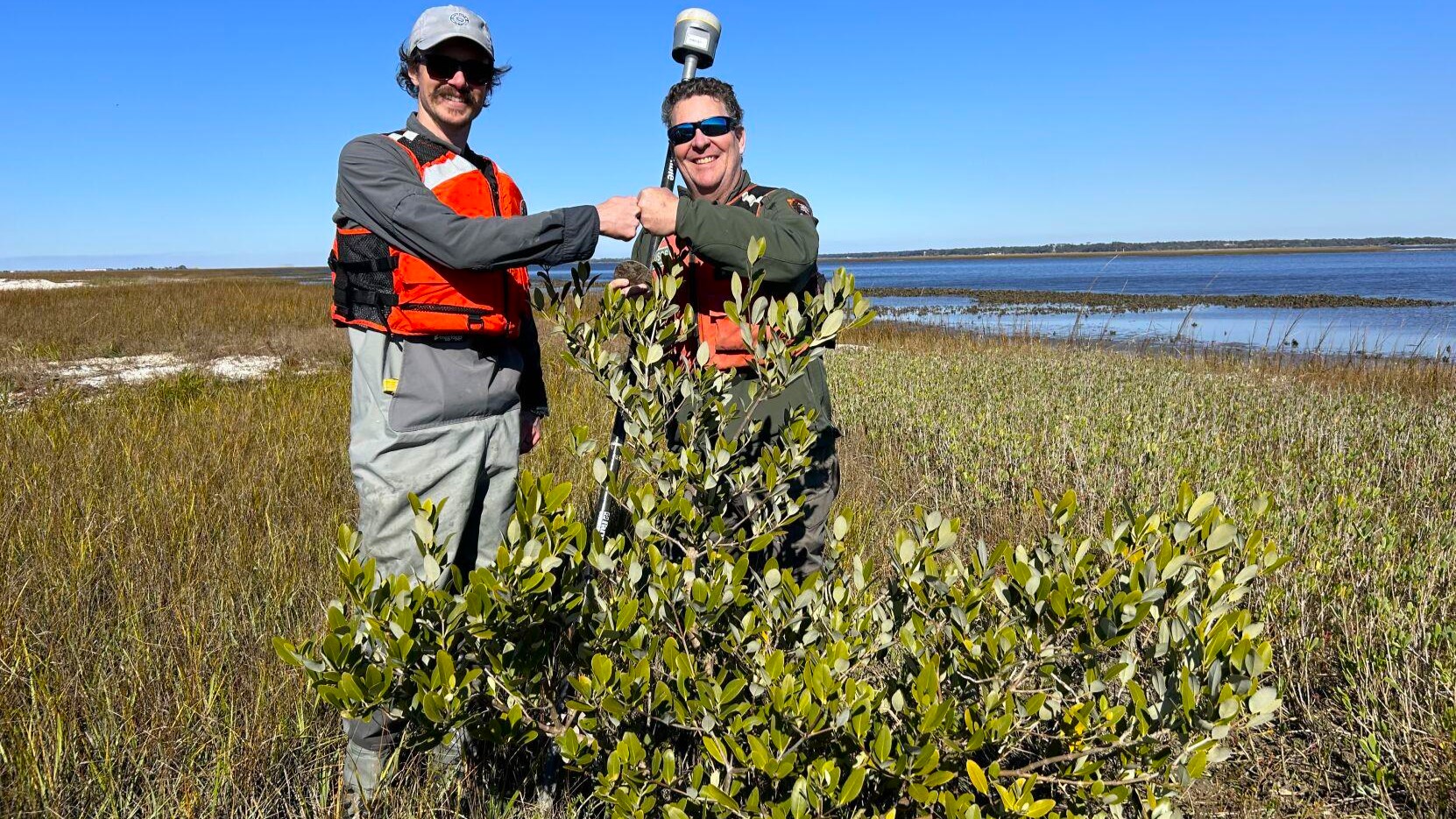 Assistant Professor Scott Jones and ecologist William Vervaeke show mangroves they discovered near Cumberland Island. | University of North Florida