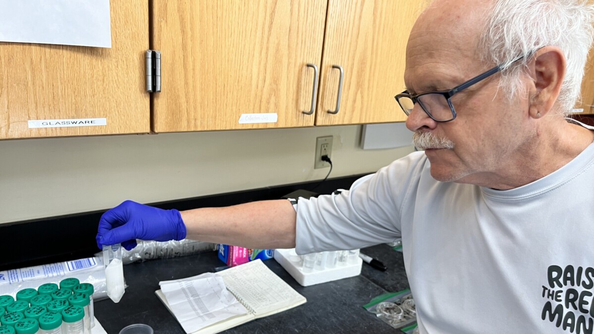 Volunteer researcher Jeff Finnan prepares a sea turtle egg for genetic testing at the Guana Tolomato Matanzas Research Reserve. | Noah Hertz, Jacksonville Today