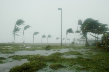 Featured image for “Florida Tropical Training Week: Get prepared with the pros”