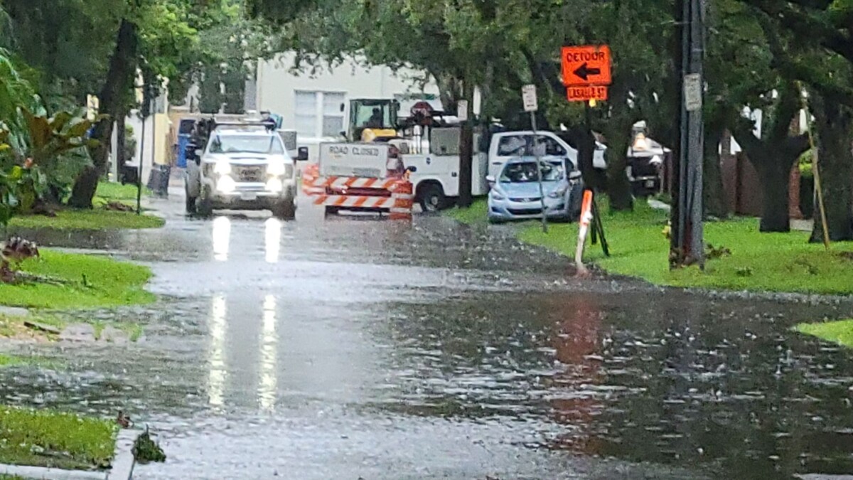 Parts of Palm Avenue in San Marco are flooded Monday morning, Aug. 5, 2024. | Dan Scanlan, Jacksonville Today