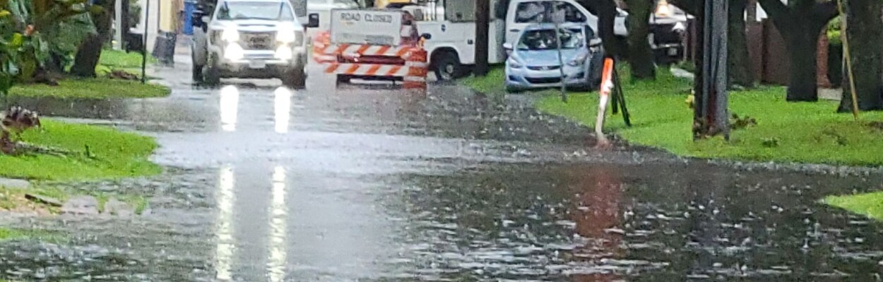 Parts of Palm Avenue in San Marco are flooded Monday morning, Aug. 5, 2024. | Dan Scanlan, Jacksonville Today