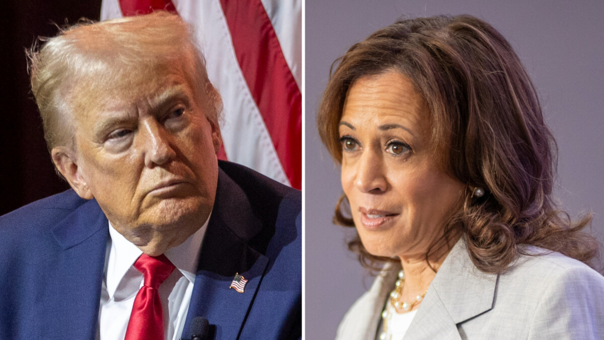 poll trump harris