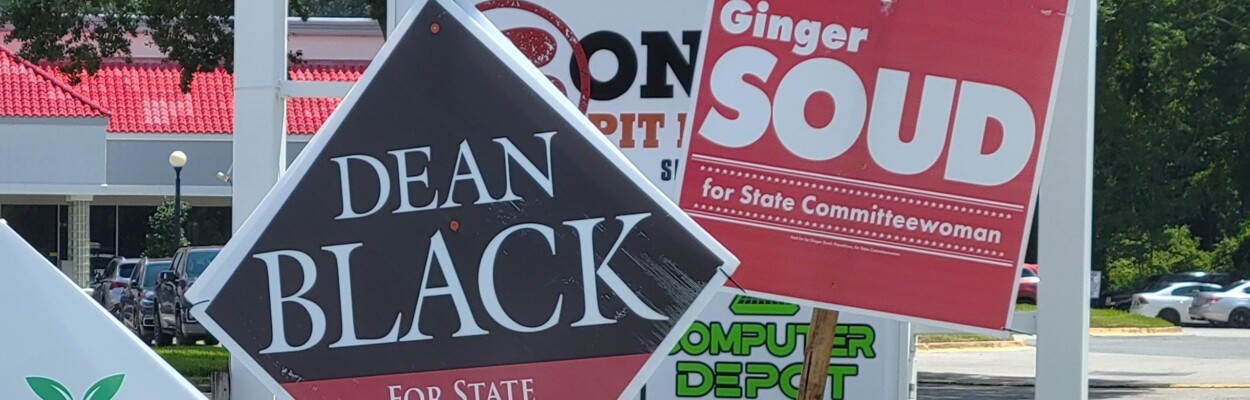 Campaign signs are posted at Bowden and Spring Park roads for two candidates for state committeeman and state committeewoman. | Dan Scanlan, Jacksonville Today