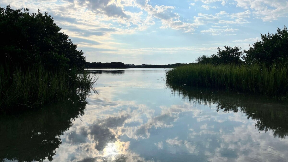 The state of Florida is considering building a lodge and recreation areas in Anastasia State Park on Anastasia Island. | Noah Hertz, Jacksonville Today