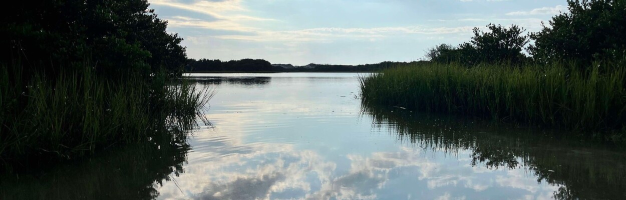 The state of Florida is considering building a lodge and recreation areas in Anastasia State Park on Anastasia Island. | Noah Hertz, Jacksonville Today