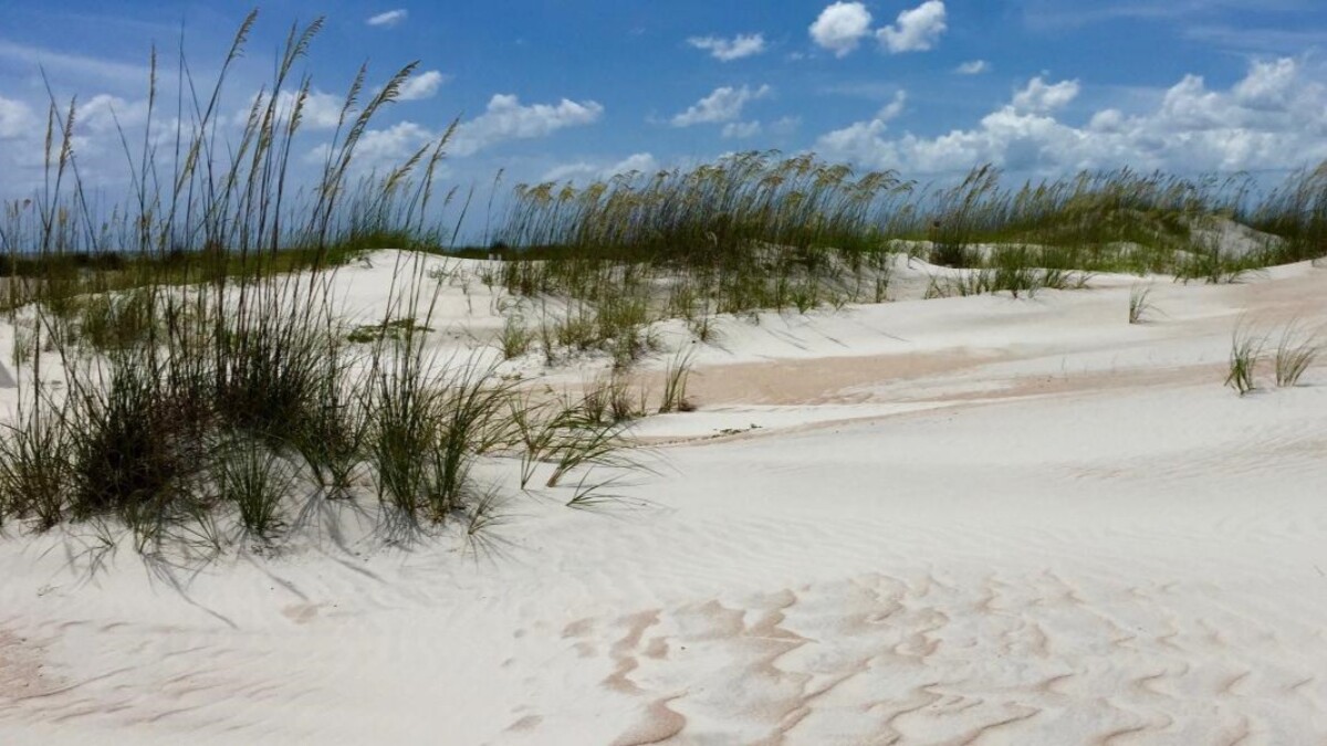 Anastasia State Park/ | Florida Department of Environmental Protection