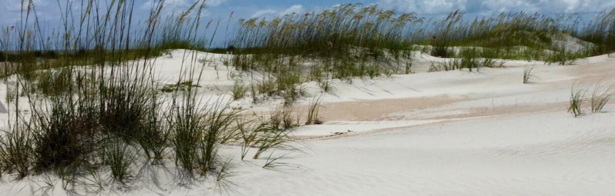 Anastasia State Park/ | Florida Department of Environmental Protection