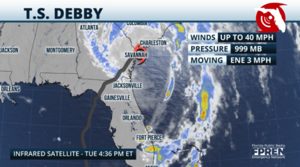 Featured image for “Florida after Debby: How’s the forecast this week?”