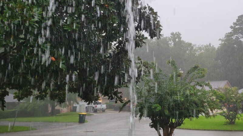 Featured image for “Jax area rainfall already above average before September deluge”