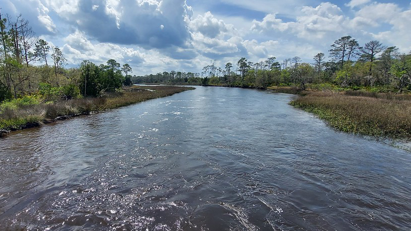 Featured image for “THE JAXSON | The fascinating history of Black Hammock Island’s Cedar Point Preserve”