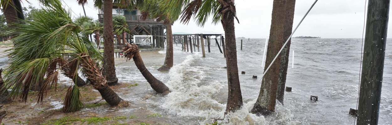 Storm surge from Hurricane Debby pushes past wind-swept palm treees in Horseshoe Beach on Aug. 5, 2024. | Christopher O'Meara, AP