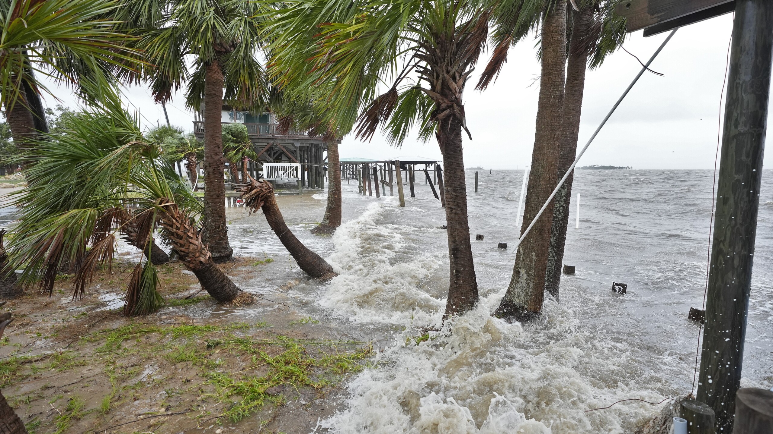 Storm surge from Hurricane Debby pushes past wind-swept palm treees in Horseshoe Beach on Aug. 5, 2024. | Christopher O'Meara, AP