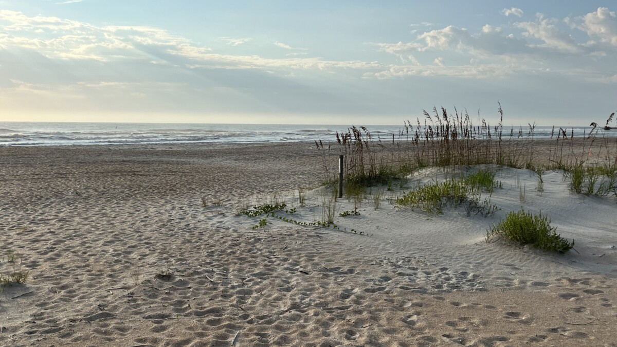 Beaches in Anastasia State Park were included in the U.S. Army Corps of Engineers' beach renourishment project. | Noah Hertz, Jacksonville Today