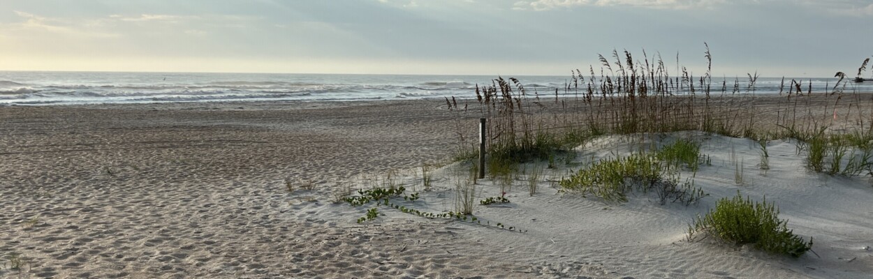 Beaches in Anastasia State Park were included in the U.S. Army Corps of Engineers' beach renourishment project. | Noah Hertz, Jacksonville Today